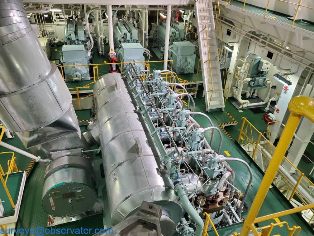 Bulk cargo inspection in vessel hold