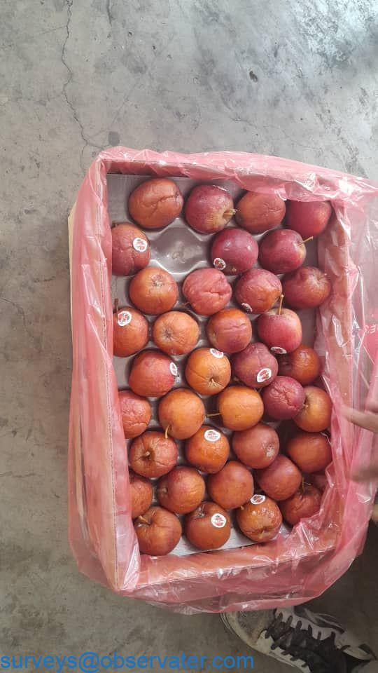 Observater Sudan surveyor supervising lashing of project cargo on a flat rack container